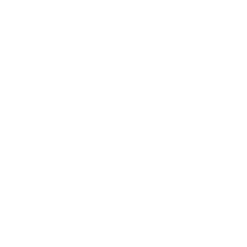 TMR globe logo